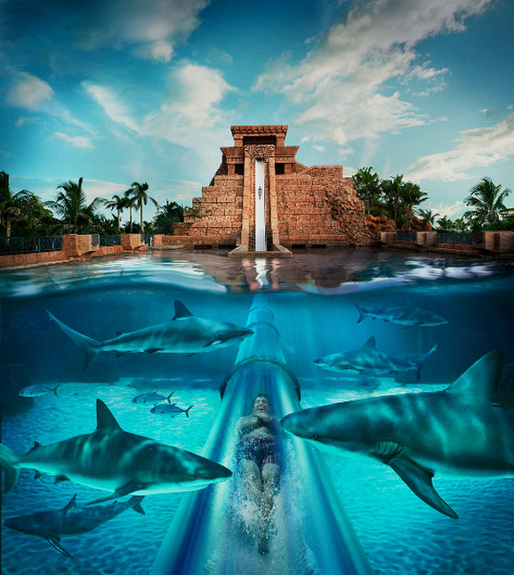 位于巴哈马群岛天堂岛的亚特兰蒂斯礁石酒店拥有大114英亩的水上公园，带有11个游泳池以及以玛雅寺庙为主题的水上滑梯。\"这家酒店拥有3400间客房和套间、40家餐厅、酒吧和休息室，还有其他的娱乐设施包括赌场、夜店和电影院。酒店一晚上234英镑。\"